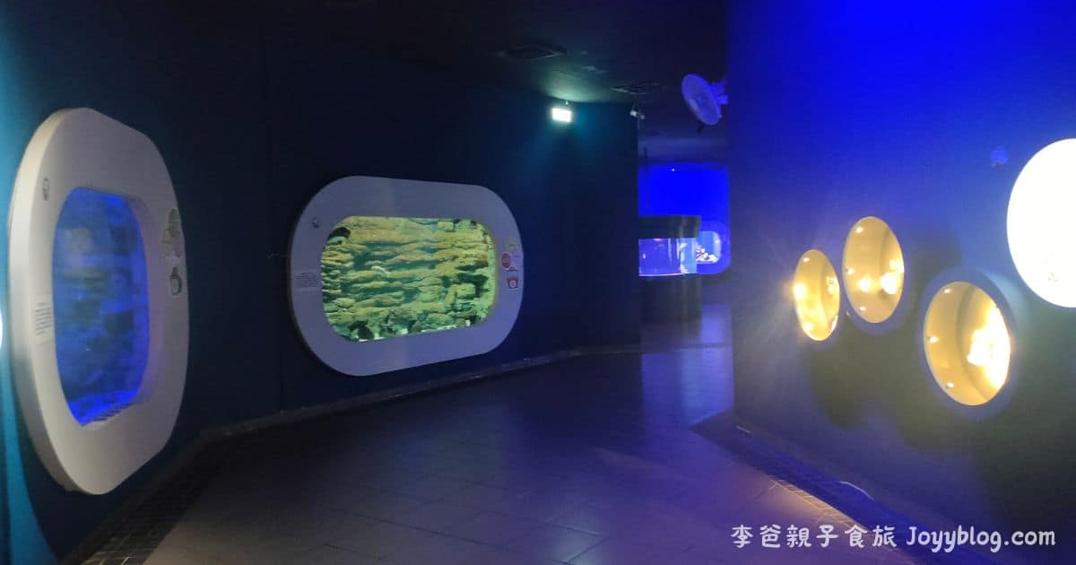 澎湖親子旅遊推薦《澎湖水族館》雨天也能玩的海底樂園！互動展示超吸睛 ! - 價格, 澎湖室內景點, 澎湖旅遊推薦, 澎湖水族館, 澎湖親子景點, 澎湖雨天備案, 門票