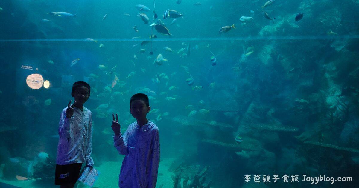 澎湖親子旅遊推薦《澎湖水族館》雨天也能玩的海底樂園！互動展示超吸睛 ! - 價格, 澎湖室內景點, 澎湖旅遊推薦, 澎湖水族館, 澎湖親子景點, 澎湖雨天備案, 門票