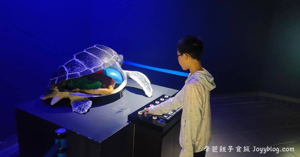 澎湖親子旅遊推薦《澎湖水族館》雨天也能玩的海底樂園！互動展示超吸睛 ! - 價格, 澎湖室內景點, 澎湖旅遊推薦, 澎湖水族館, 澎湖親子景點, 澎湖雨天備案, 門票