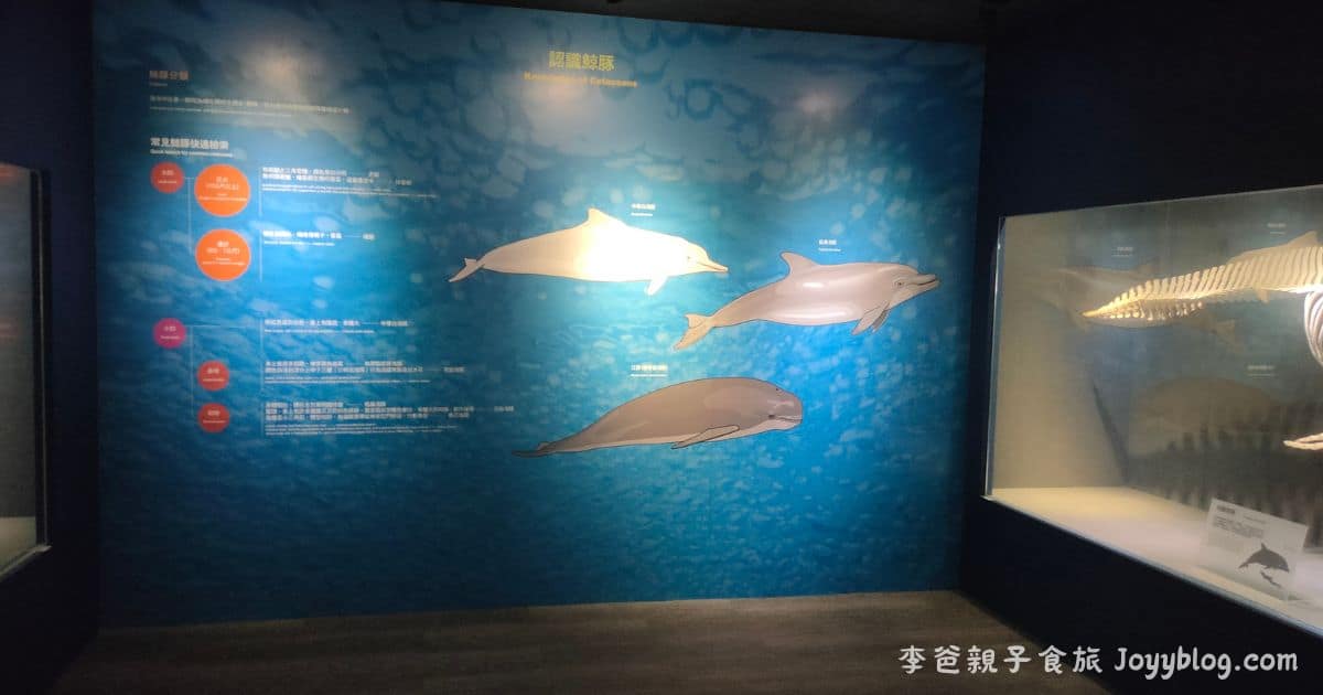 澎湖親子旅遊推薦《澎湖水族館》雨天也能玩的海底樂園！互動展示超吸睛 ! - 價格, 澎湖室內景點, 澎湖旅遊推薦, 澎湖水族館, 澎湖親子景點, 澎湖雨天備案, 門票
