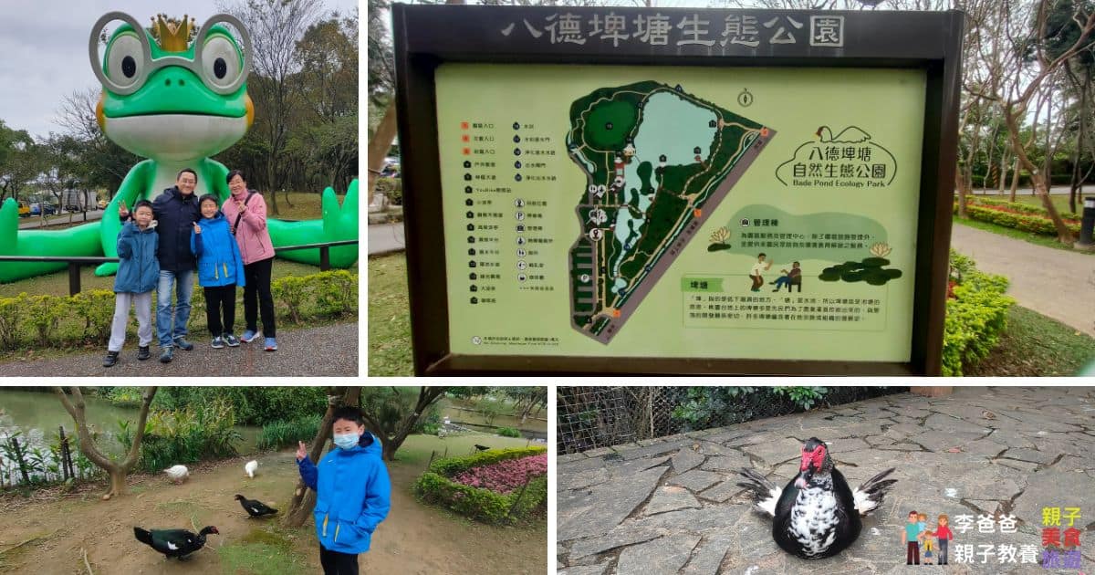 桃園八德埤塘自然生態公園
