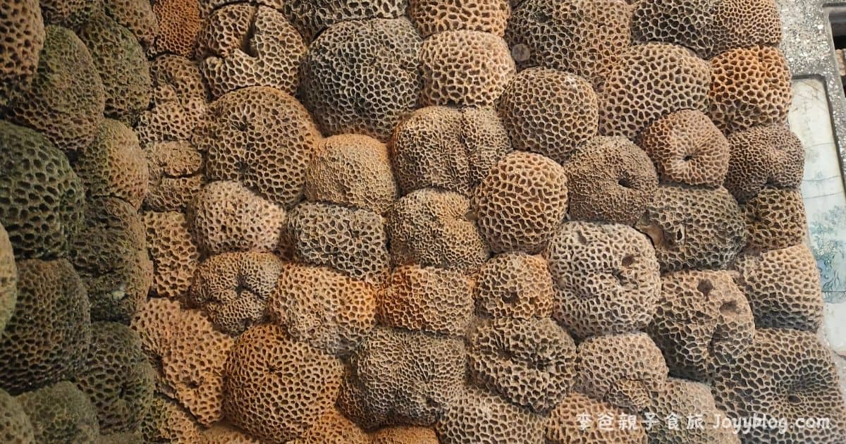 澎湖旅遊《二崁聚落保存區》走入百年古厝，感受閩南古樸風情 - 二崁聚落, 咾咕石建築, 澎湖一日遊, 澎湖文青景點, 澎湖旅遊, 澎湖景點, 西嶼景點, 閩南古厝