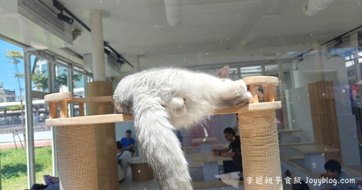 苗栗親子新景點｜火車頭園區開箱！玩中學鐵道歷史，知識滿點一日遊 - 一日遊, 博物館推薦, 室內景點, 火車頭園區, 票價, 苗栗景點, 親子同遊, 親子旅遊, 鐵道文化, 門票